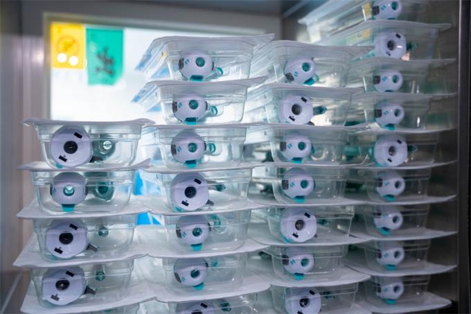 CE認証 12mm ハッソン型 使い捨てトロカール 腹腔鏡手術用 Surgsci Medical 5